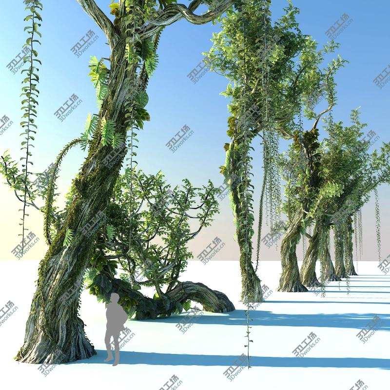 images/goods_img/20210113/Rain Forest ecosystems Pack 10/3.jpg
